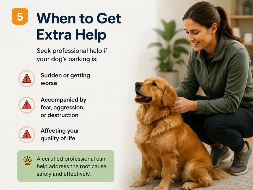 Dog barking training guide showing steps to identify causes and build calmer responses
