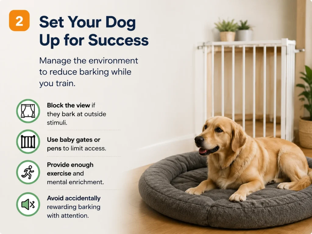 Dog learning an alternative behavior such as sitting and focusing on the owner during training
